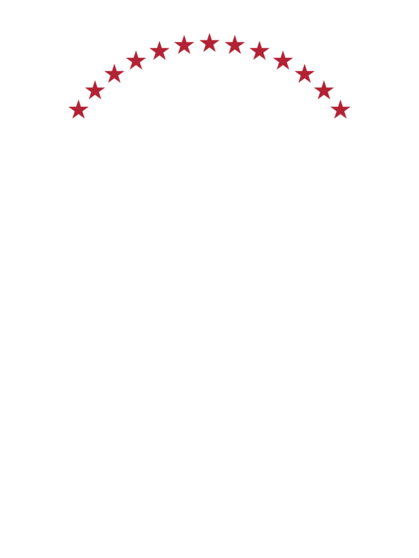 1776 thirteen stars heavyweight tee — Size: L, Color: Ivory