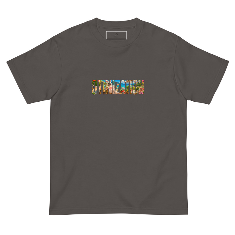 Civilization to Otinization tee（チャコール）
