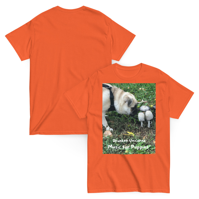 Unisex classic tee