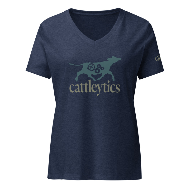 Women’s relaxed v-neck t-shirt