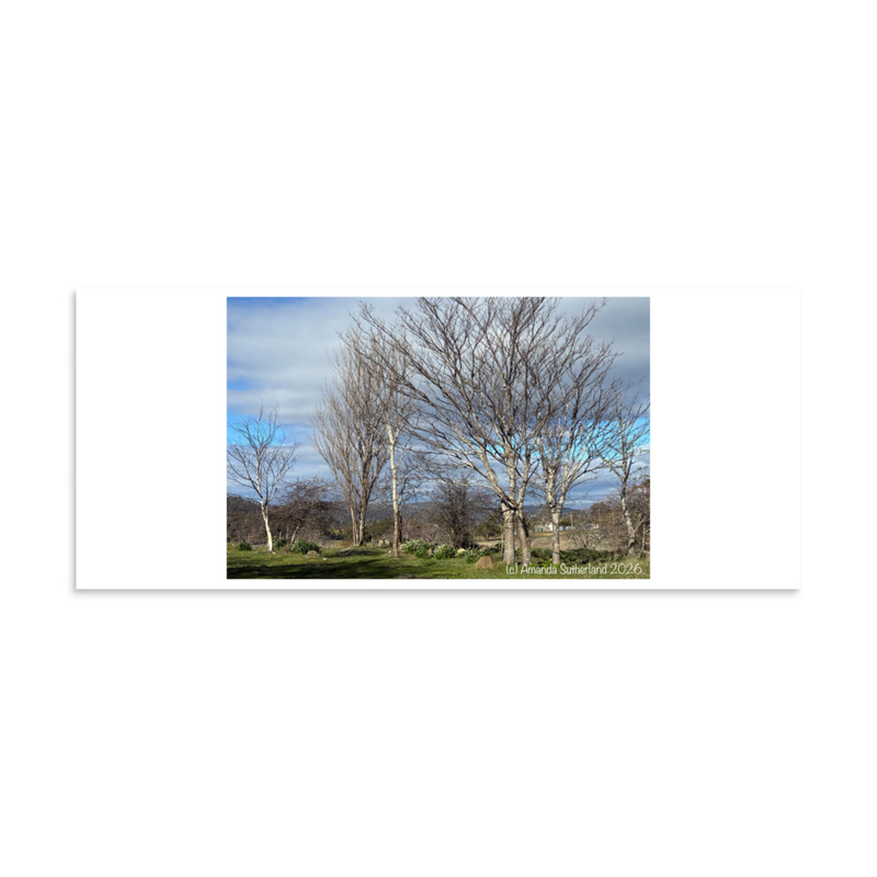 Hidden in Plain Sight Poster – 10″×24″
