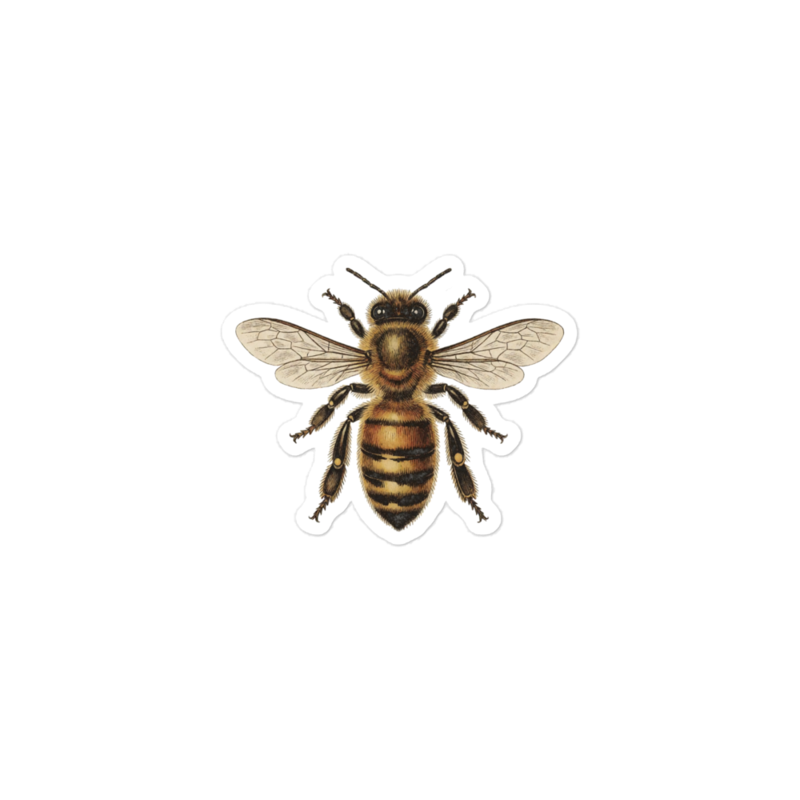 The Waggle Dance Sticker mockup