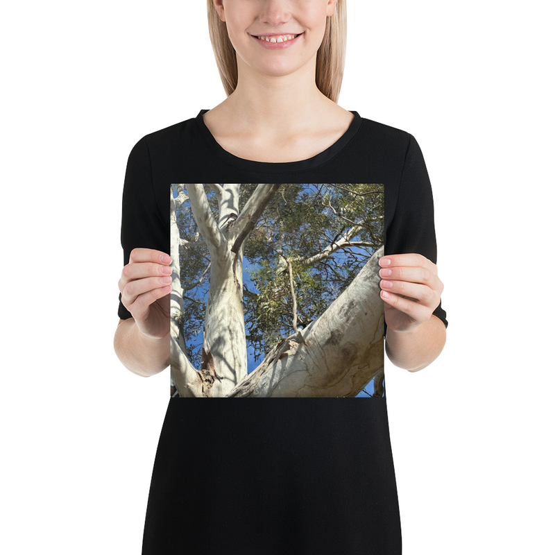 Choose Your Path Canvas Print