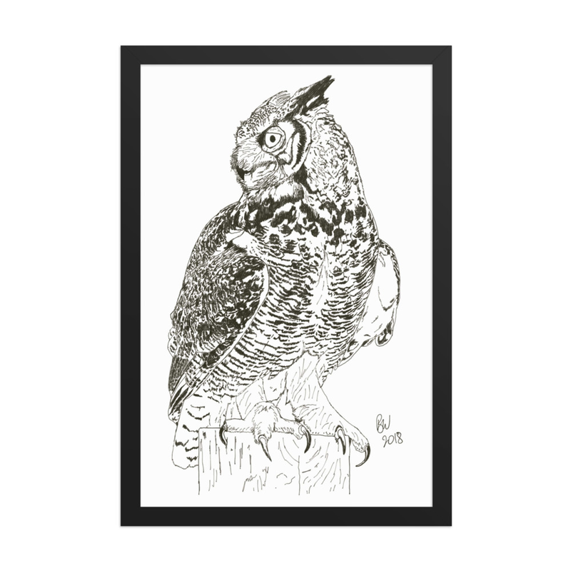 Great Horned Owl (Bubo virginianus) - 12" x 18" Framed Print