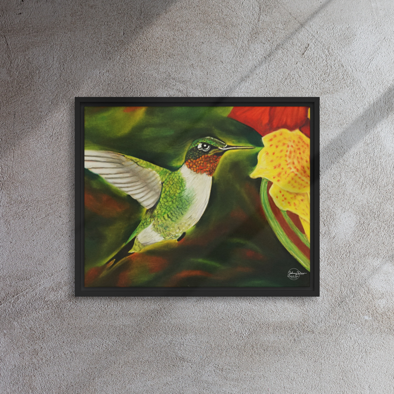 Hummingbird 2 Framed Canvas – 16″×20″, Black