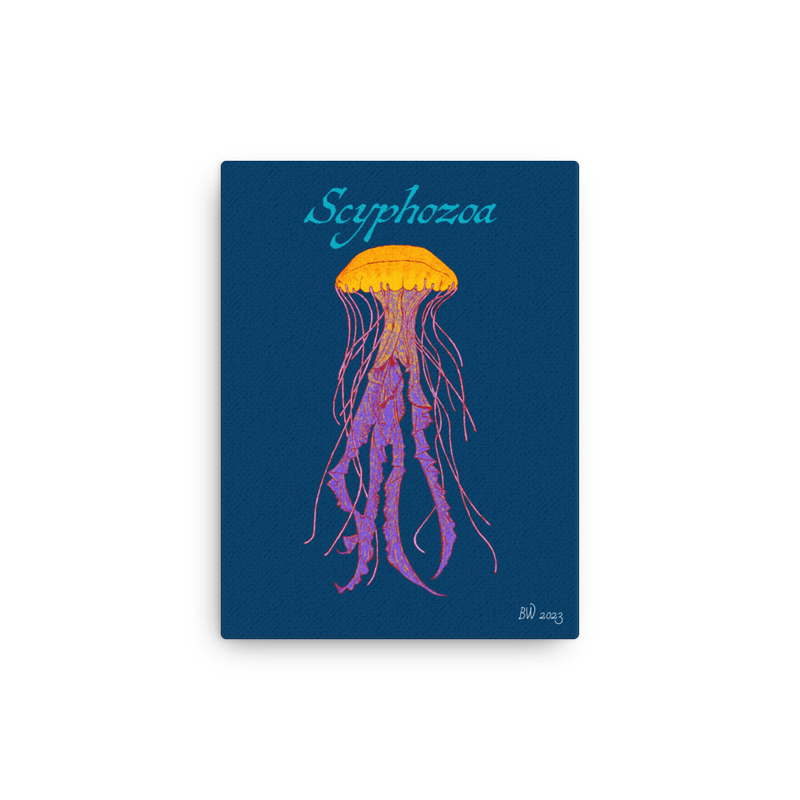 Scyphozoa (Sea Jellies) - Thin Canvas Print (Blue)