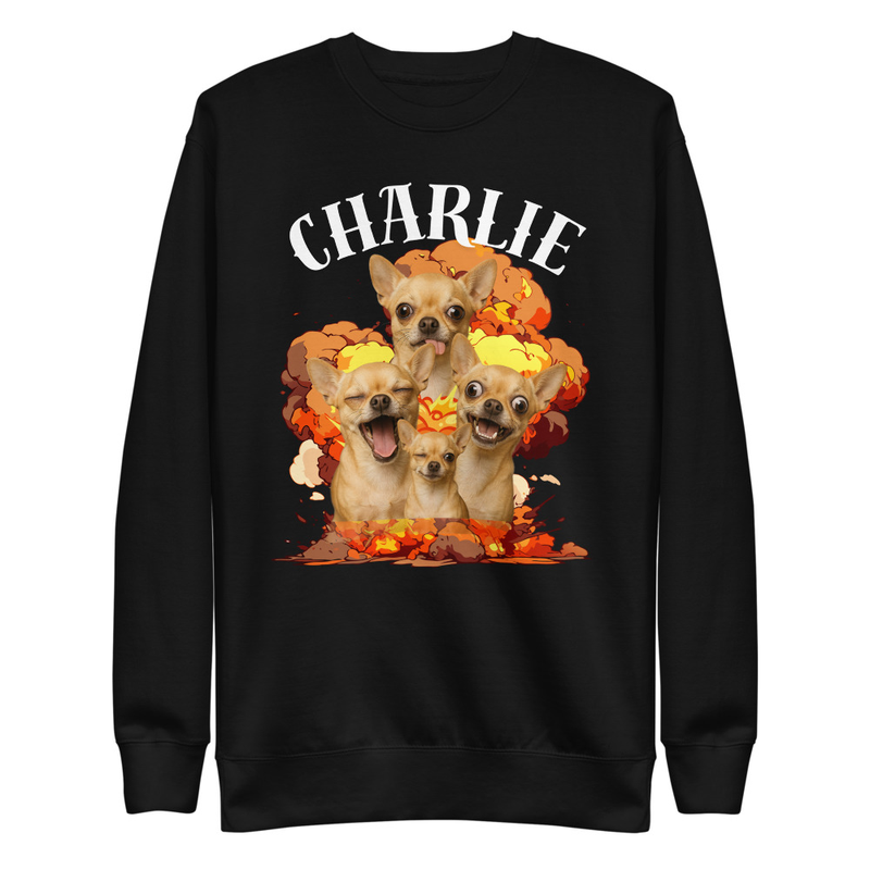 Customized Pet Explosion - Unisex Premium Sweatshirt