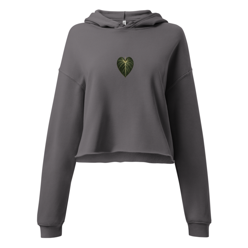 Gloriosum Crop Hoodie 4
