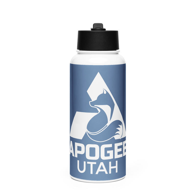 Stainless steel water bottle with a straw lid