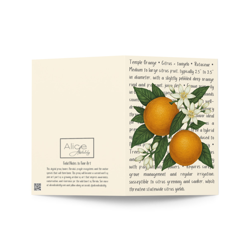 Temple Orange Greeting Card