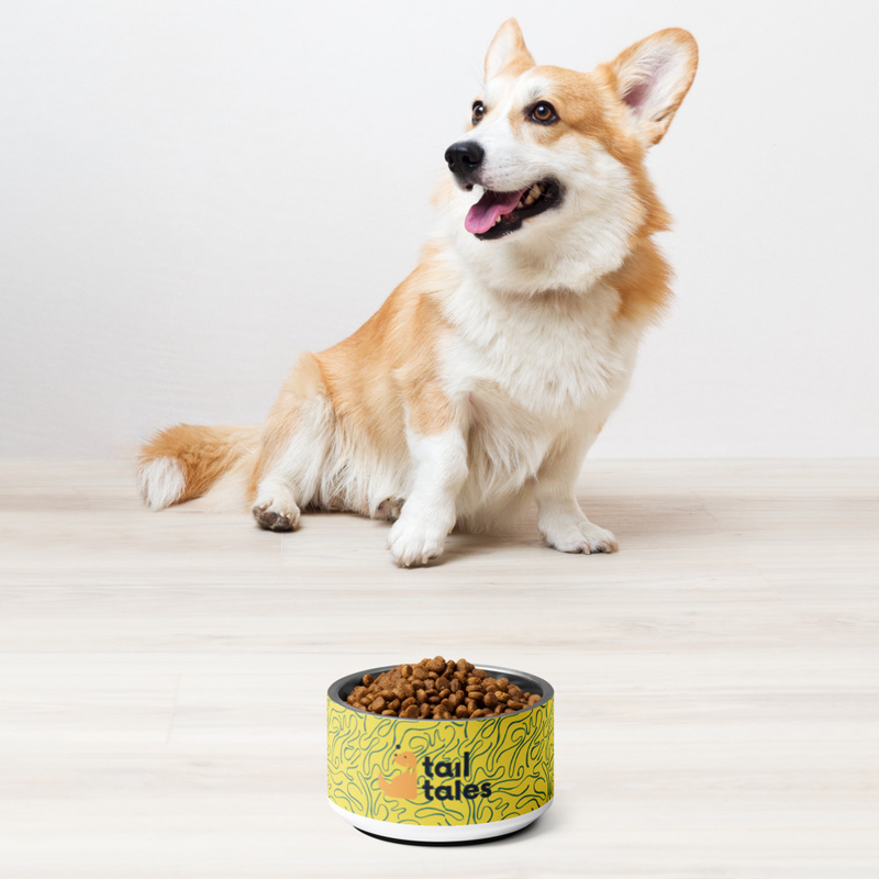 Pet bowl