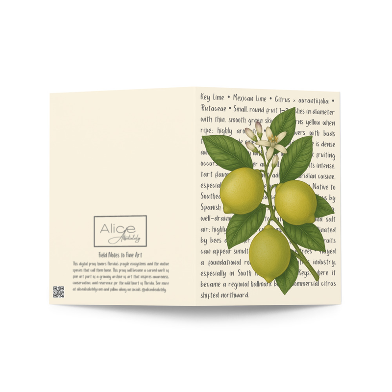 Key Lime Greeting Card