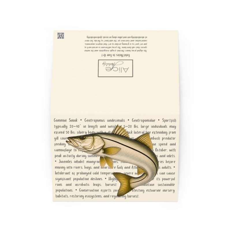 Common Snook Greeting Card