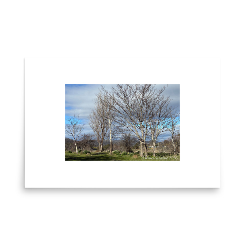 Hidden in Plain Sight Poster