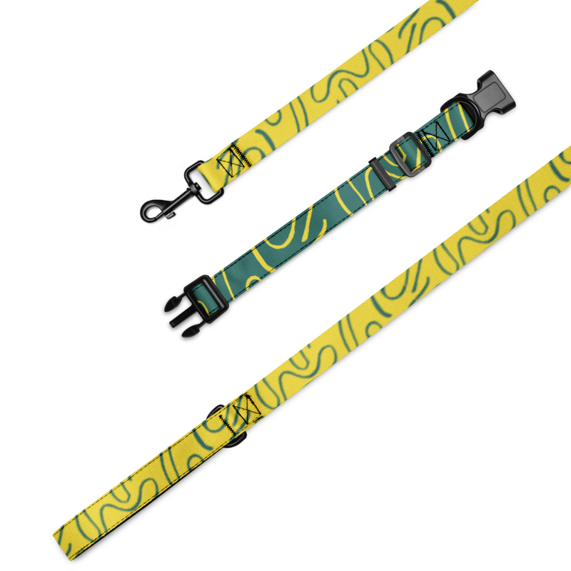 Pet collar & leash