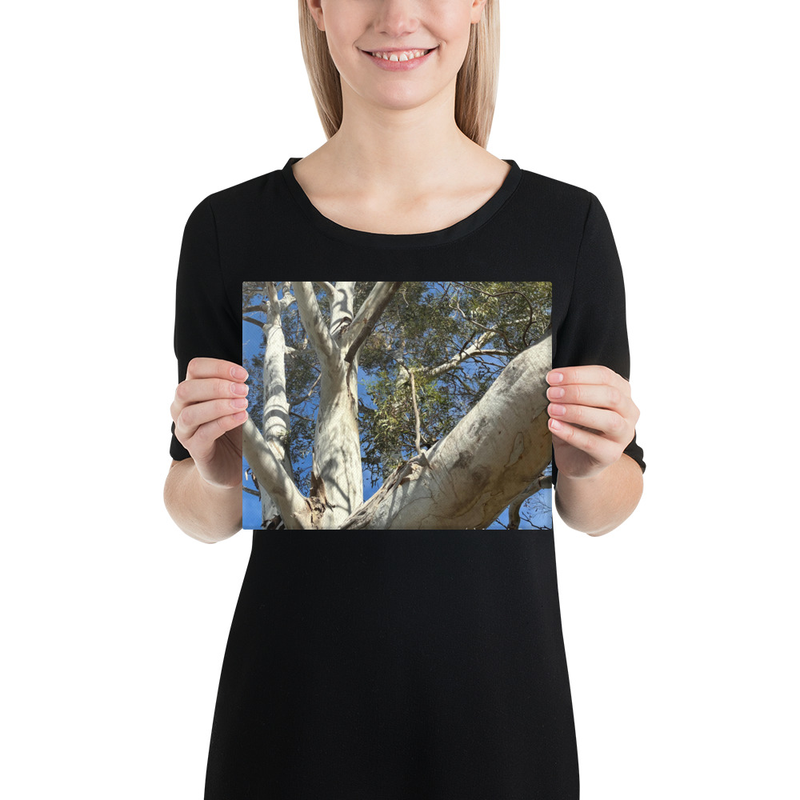 Choose Your Path Canvas Print – 8″×10″