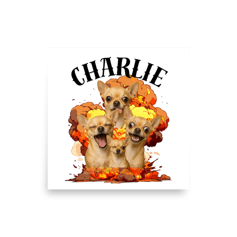Customized Pet Explosion - Poster