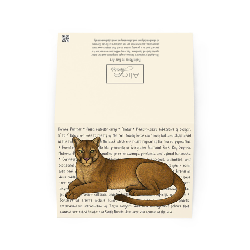Florida Panther Greeting Card