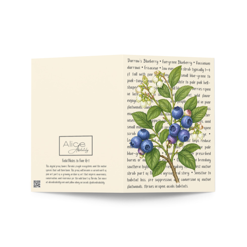 Darrow's Blueberry Greeting Card