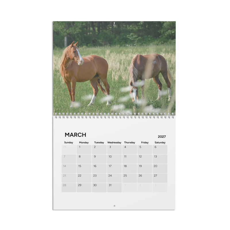 Horse Calendar 2027