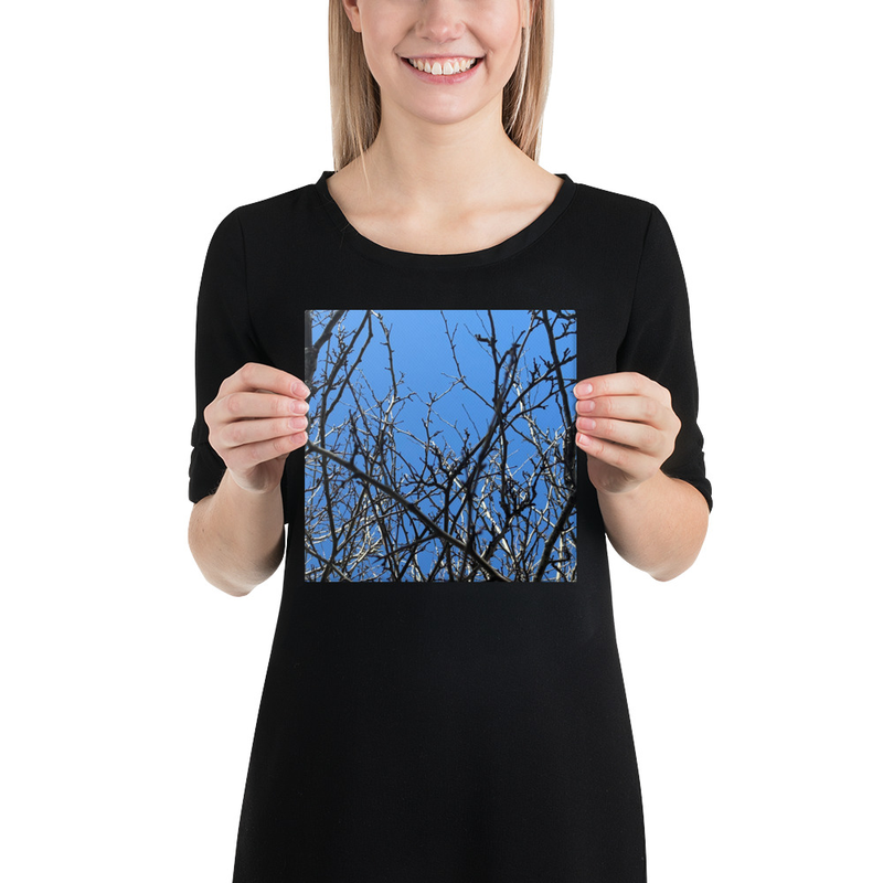 Branching Thoughts Canvas Print