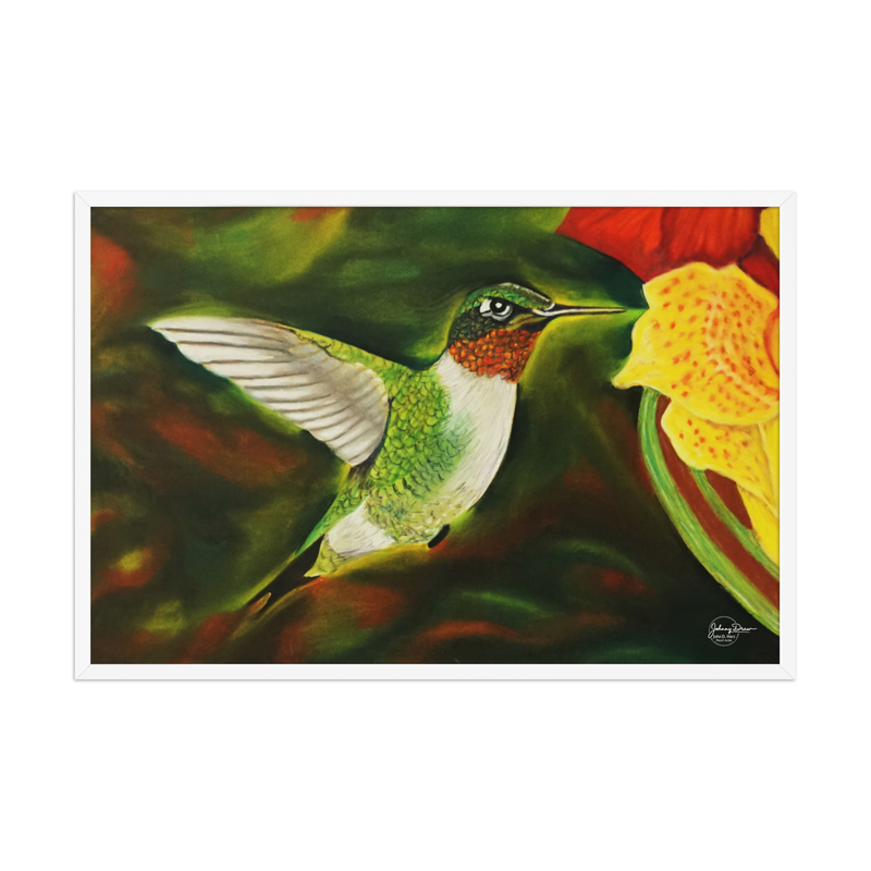 Hummingbird 2 Framed Print – Image 12