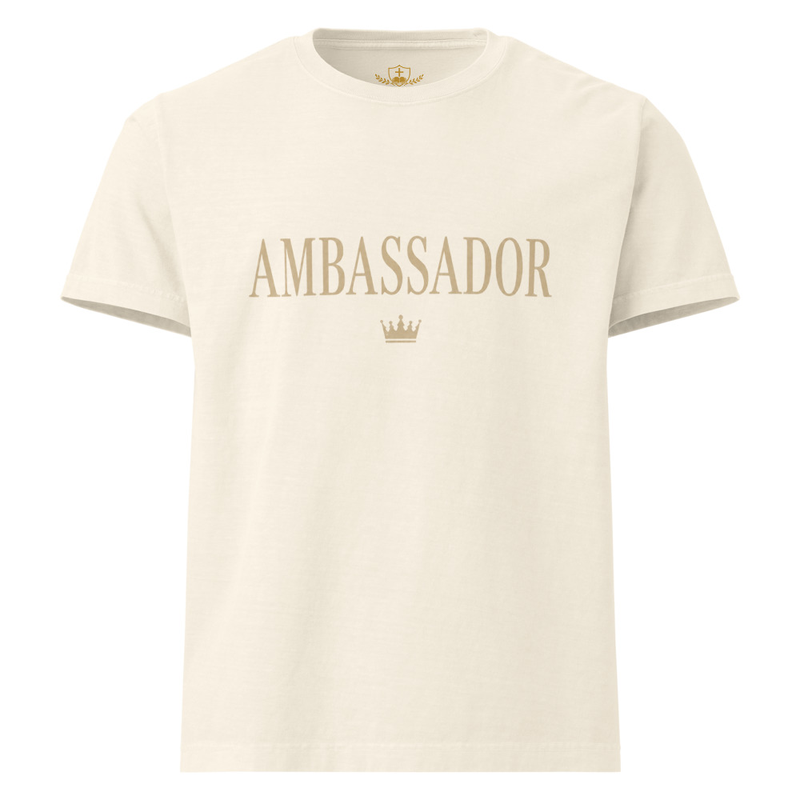 Ambassador Oversized Christian T-Shirt – XL, Vintage White