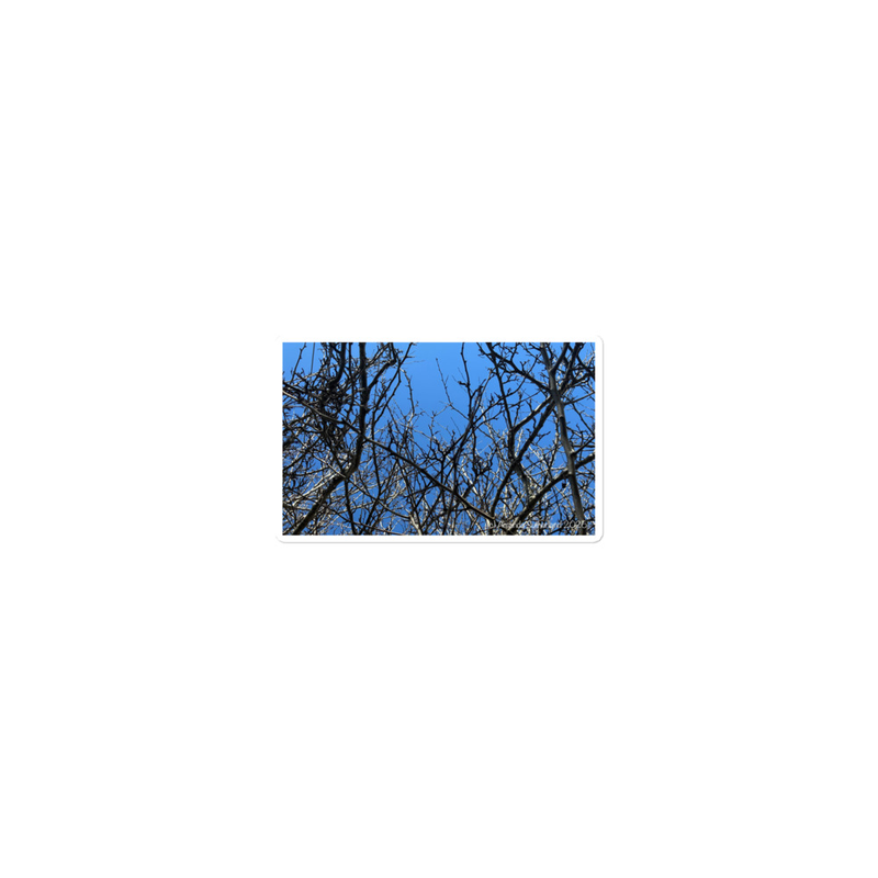 Branching Thoughts Sticker – 15″×3.75″, White