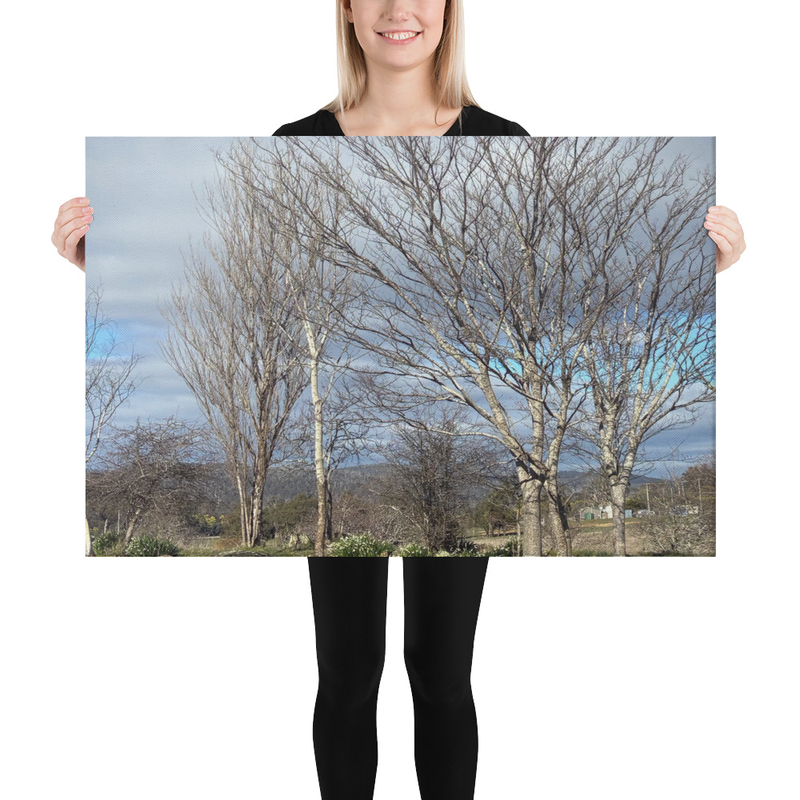 Hidden in Plain Sight Canvas Print – 24″×36″