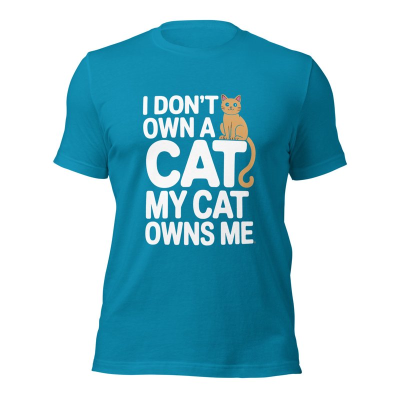 The Cat Owns Me Tee in Aqua