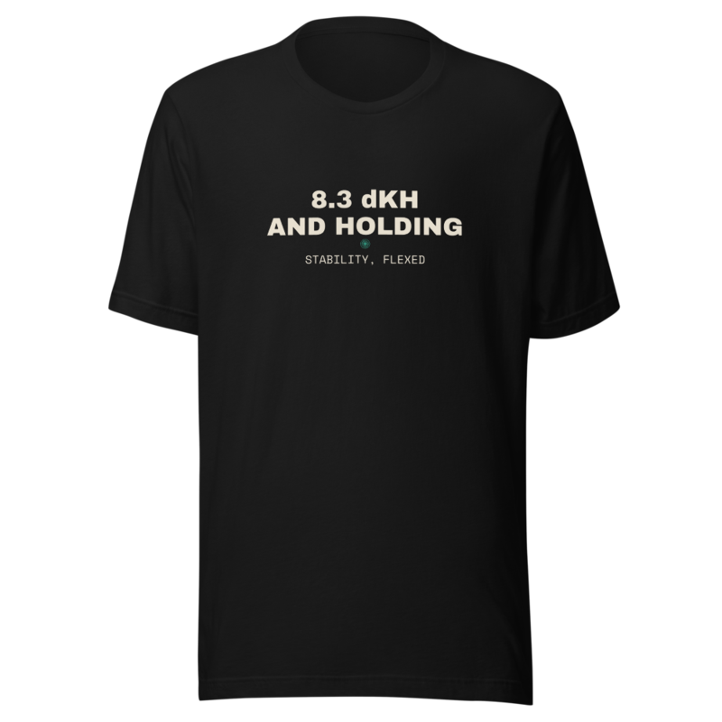 8.3 dKH AND HOLDING Tee mockup