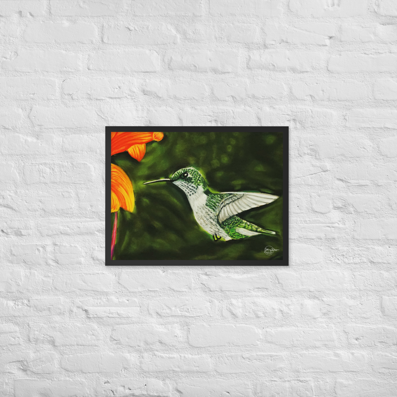 Hummingbird 1 Framed Print – 18″×24″, Black