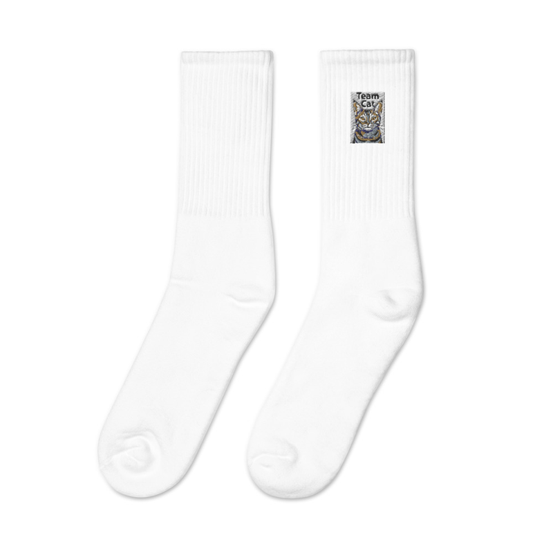 Embroidered socks