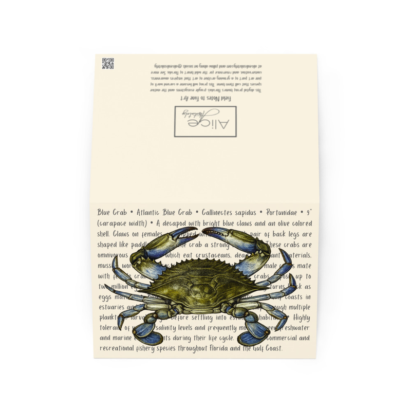Atlantic Blue Crab Greeting Card