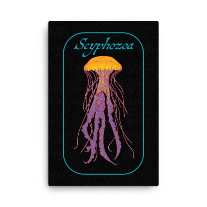 Scyphozoa (Sea Jellies) Thin Canvas Print