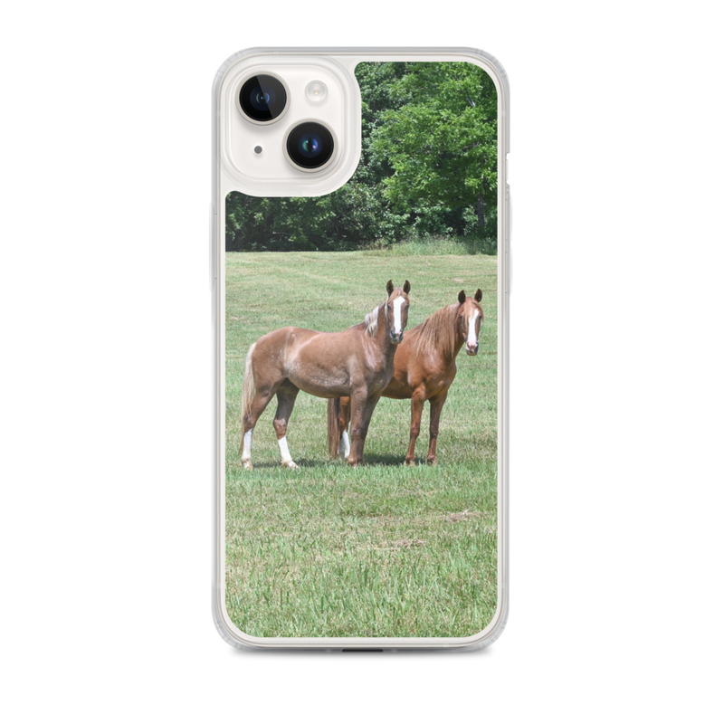 Horses MagSafe® clear case for iPhone® 16 options
