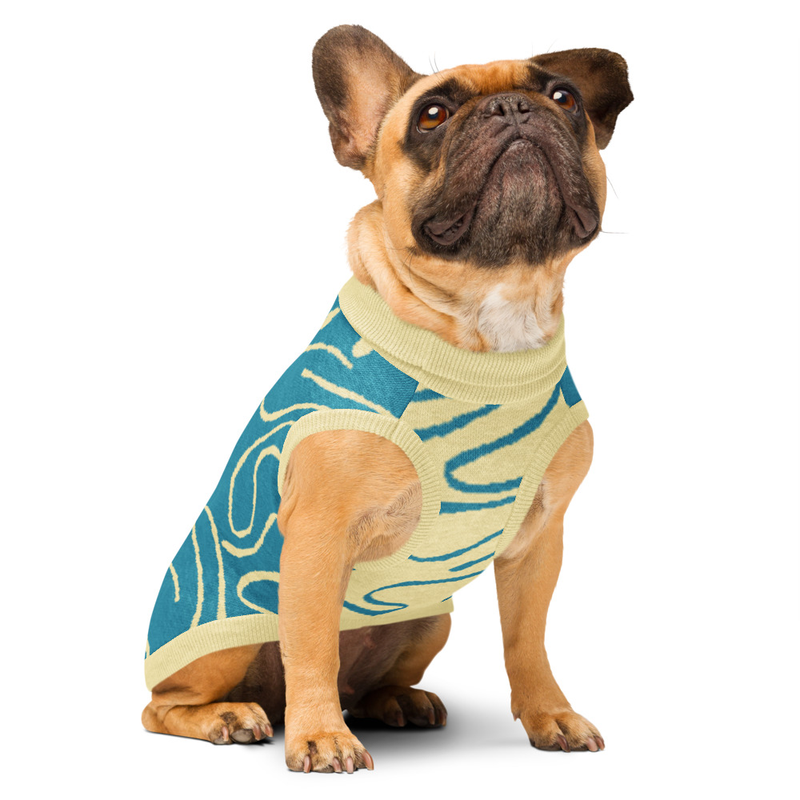 Knitted pet sweater