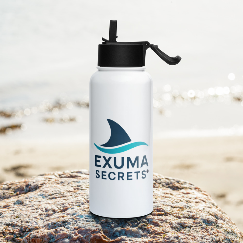 Sharkline Stainless steel water bottle with a straw lid
