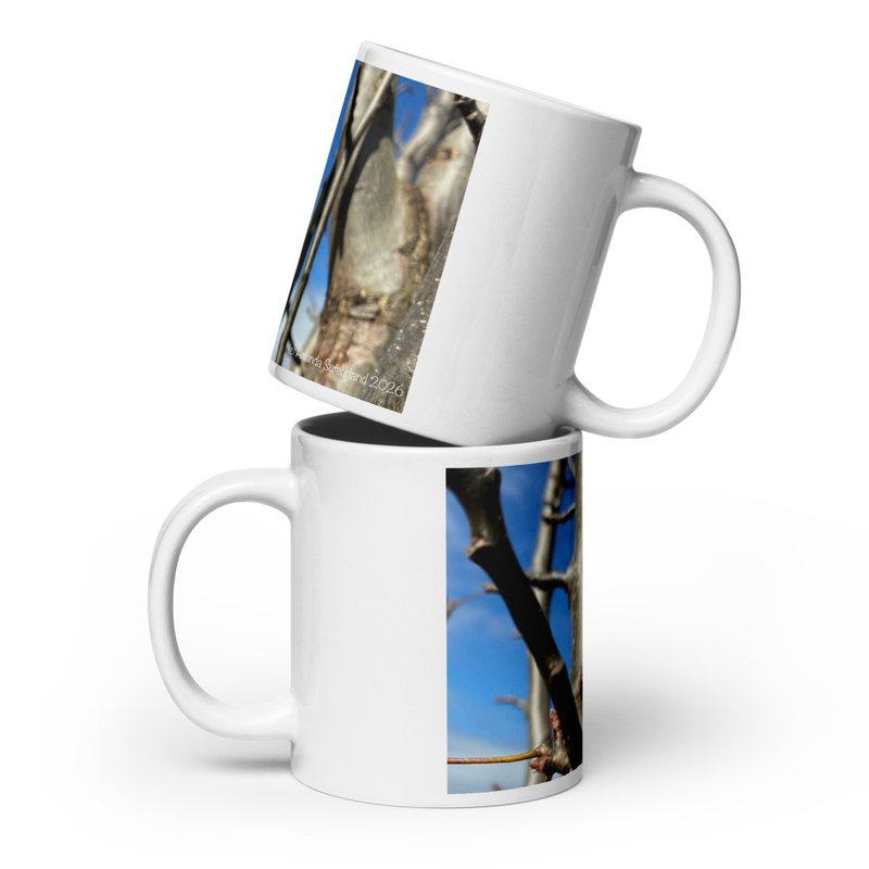 After the Cold Mug – 20 oz, White