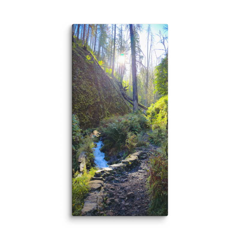 Wahkeena Trail 420 Print # 4