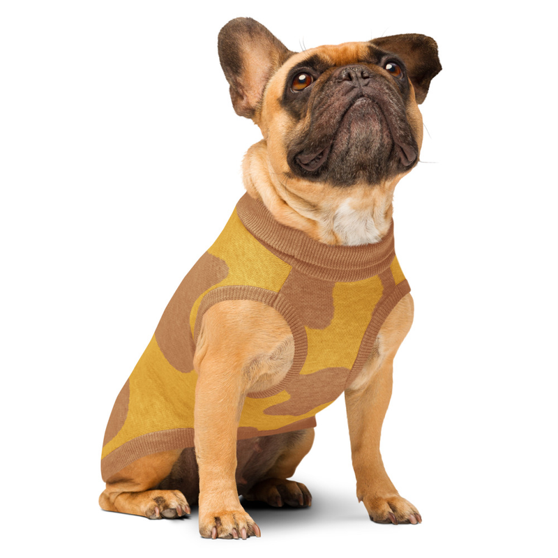 Knitted pet sweater