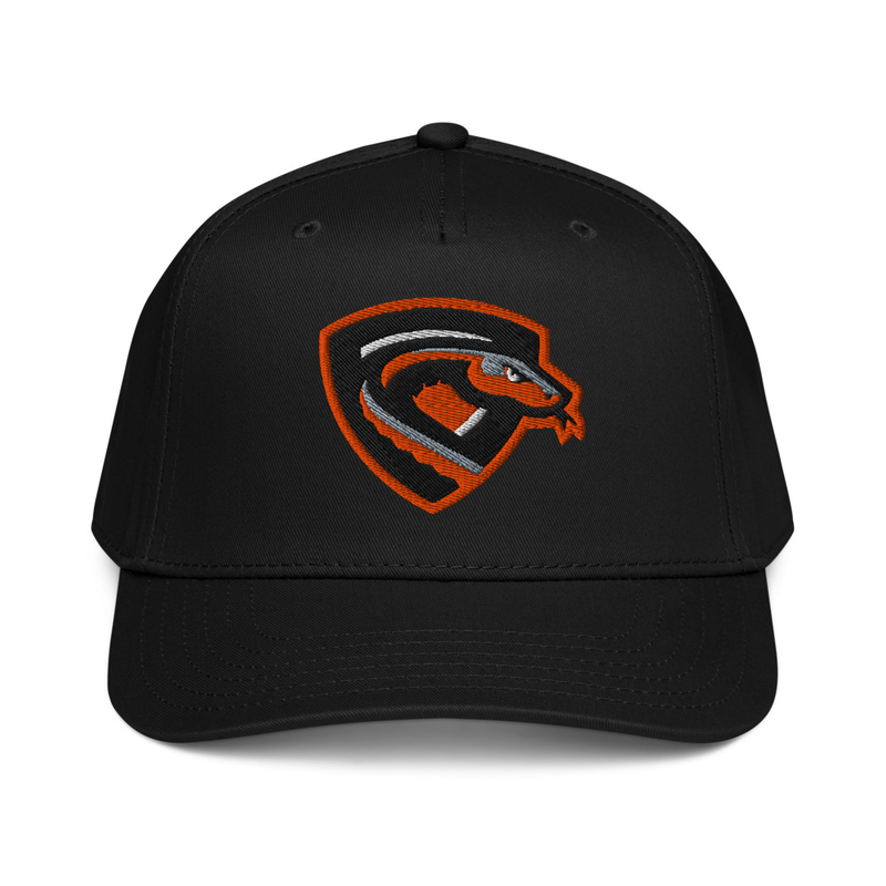 Pylon Pythons - A-Frame Hat product image