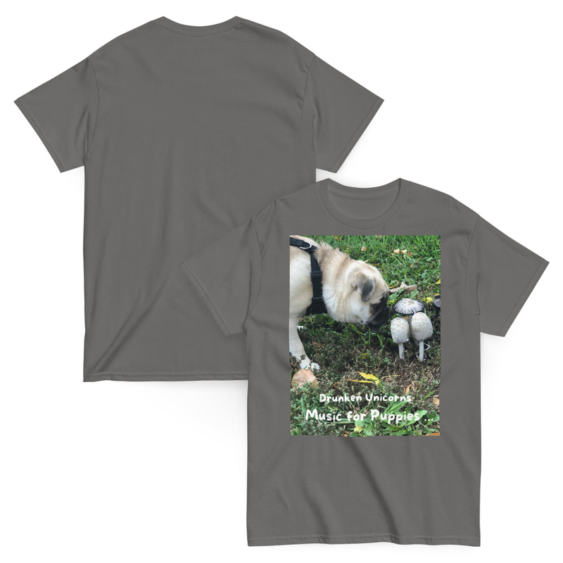 Unisex classic tee