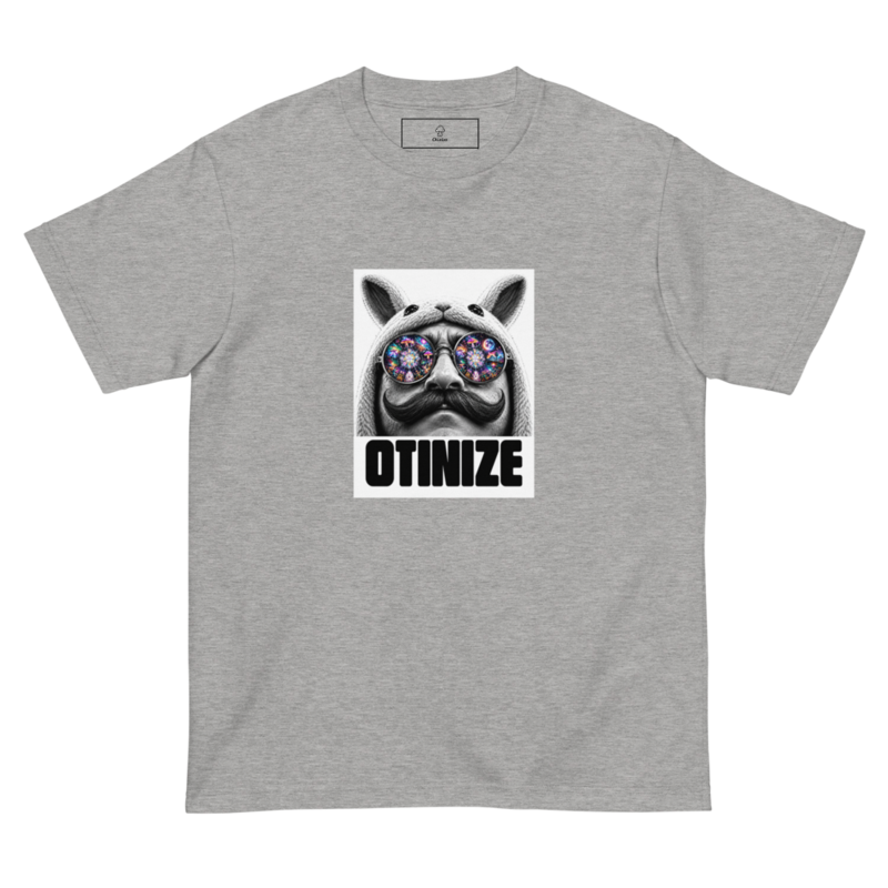 Otinize space sunglasses（ヘザーグレー）