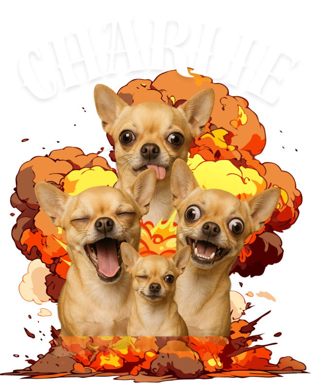 Customized Pet Explosion - Unisex Hoodie alternate