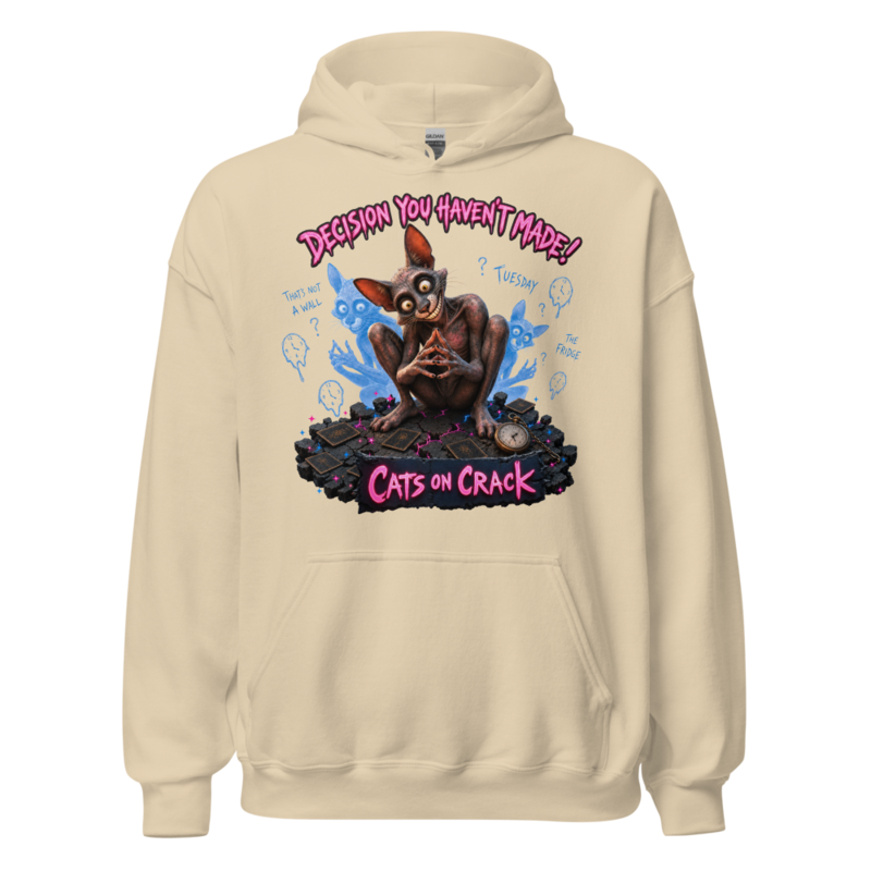 Decision You Hadn't Made Hoodie
