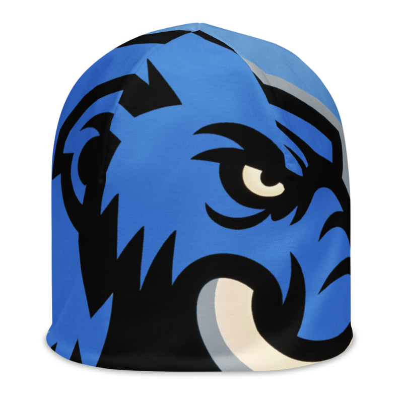 Twin Cities Tundra - Big Logo Beanie
