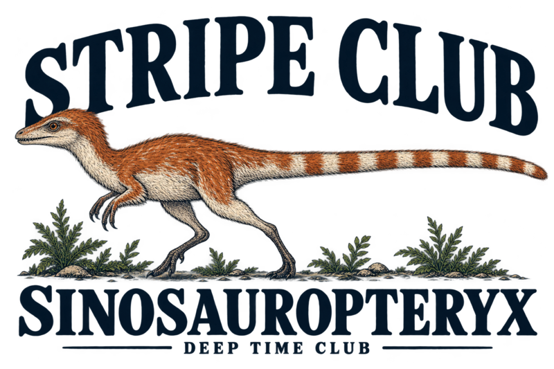 Close view of the original Stripe Club Sinosauropteryx Tee graphic