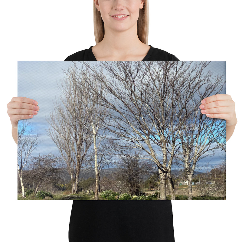 Hidden in Plain Sight Canvas Print – 16″×24″