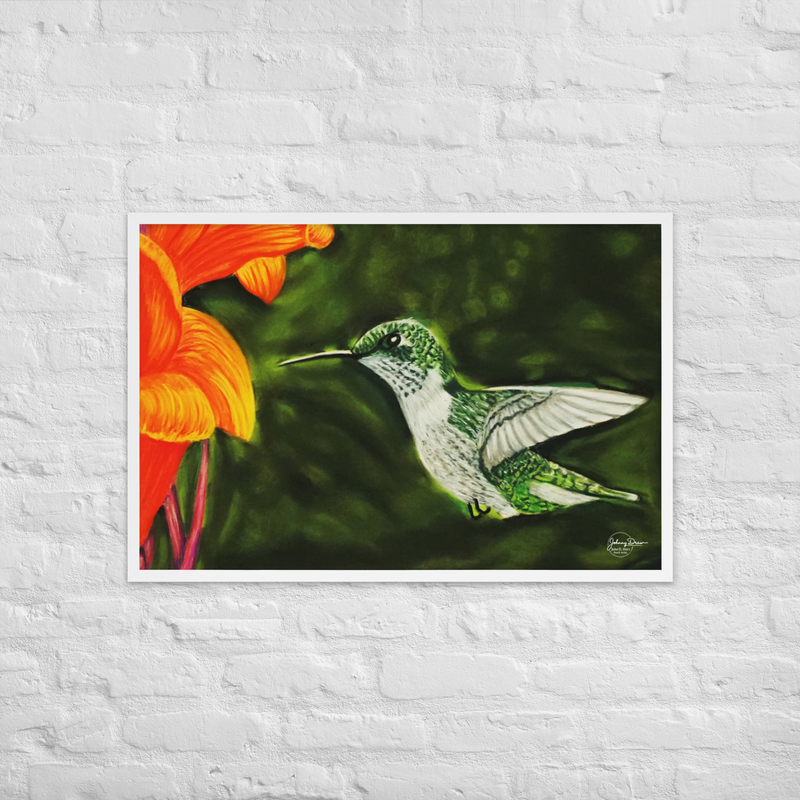 Hummingbird 1 Framed Print – Image 12